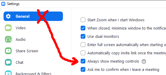 Zoom Meeting Controls