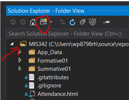  Solution Explorer settings